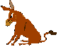 ane.gif (10877 octets)